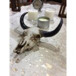 Mr Cowhides by ParsHides