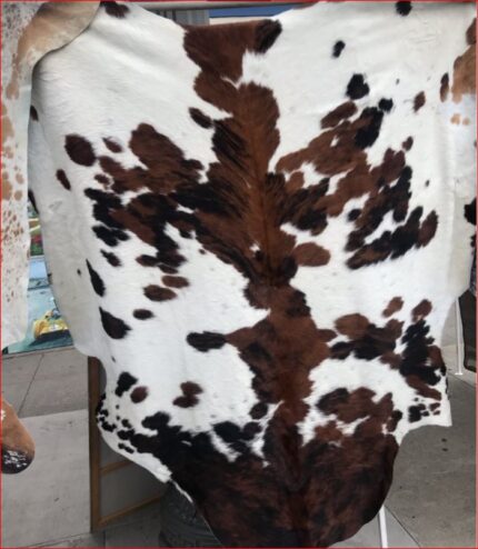 Tricolor Cowhide Rug
