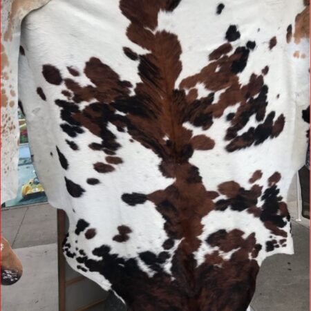 Tricolor Cowhide Rug